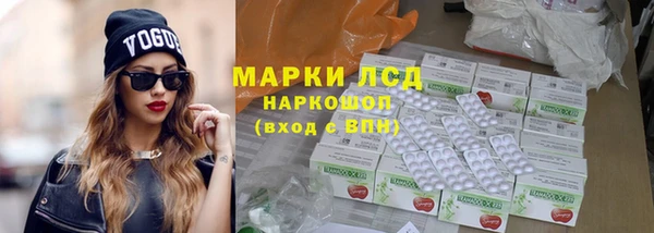 гидра Козловка