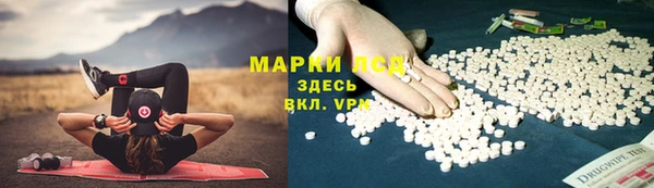 гидра Козловка