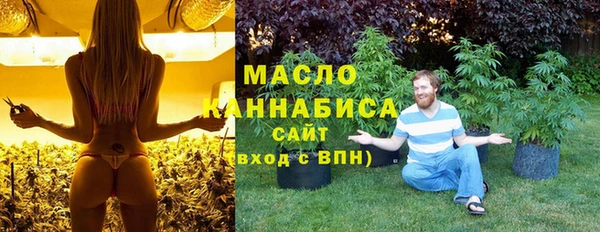 гидра Козловка