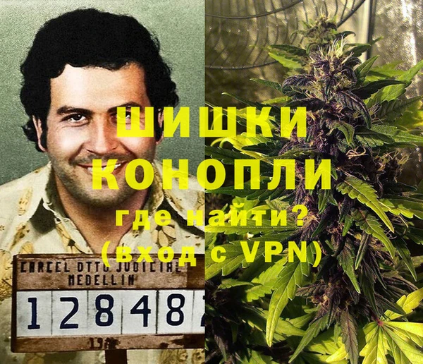 гидра Козловка