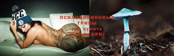 гидра Козловка
