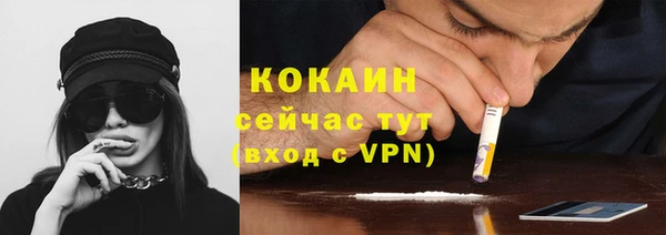 гидра Козловка