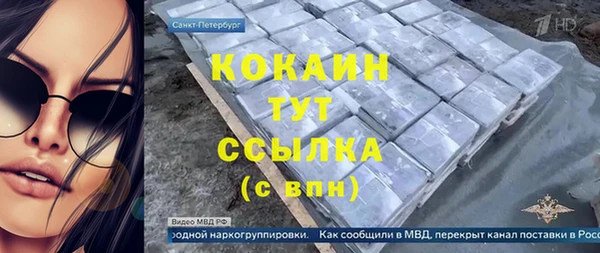 гидра Козловка