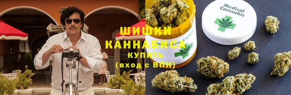 гидра Козловка