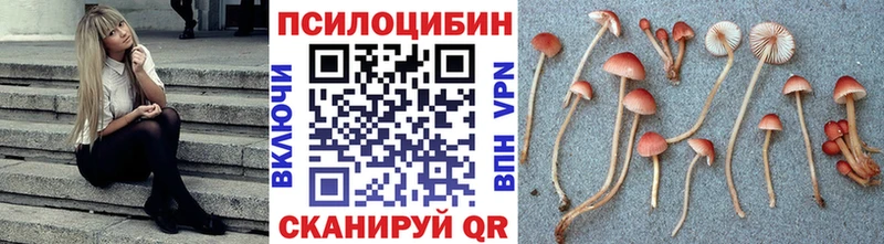 Галлюциногенные грибы Psilocybine cubensis  KRAKEN ТОР  Рязань  сколько стоит 